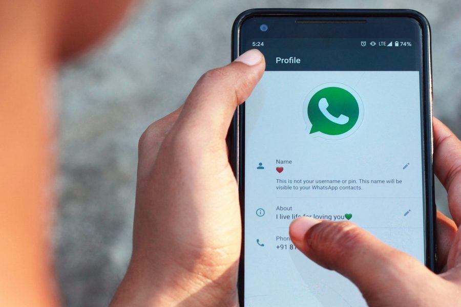 Foto: MAsha/Pixahive